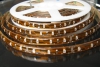 LEDS-60-3528: Strip mit 300 LED's pro Rolle